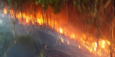 Großeinsatz in NÖ! Feuerwehr kämpft gegen Waldbrand