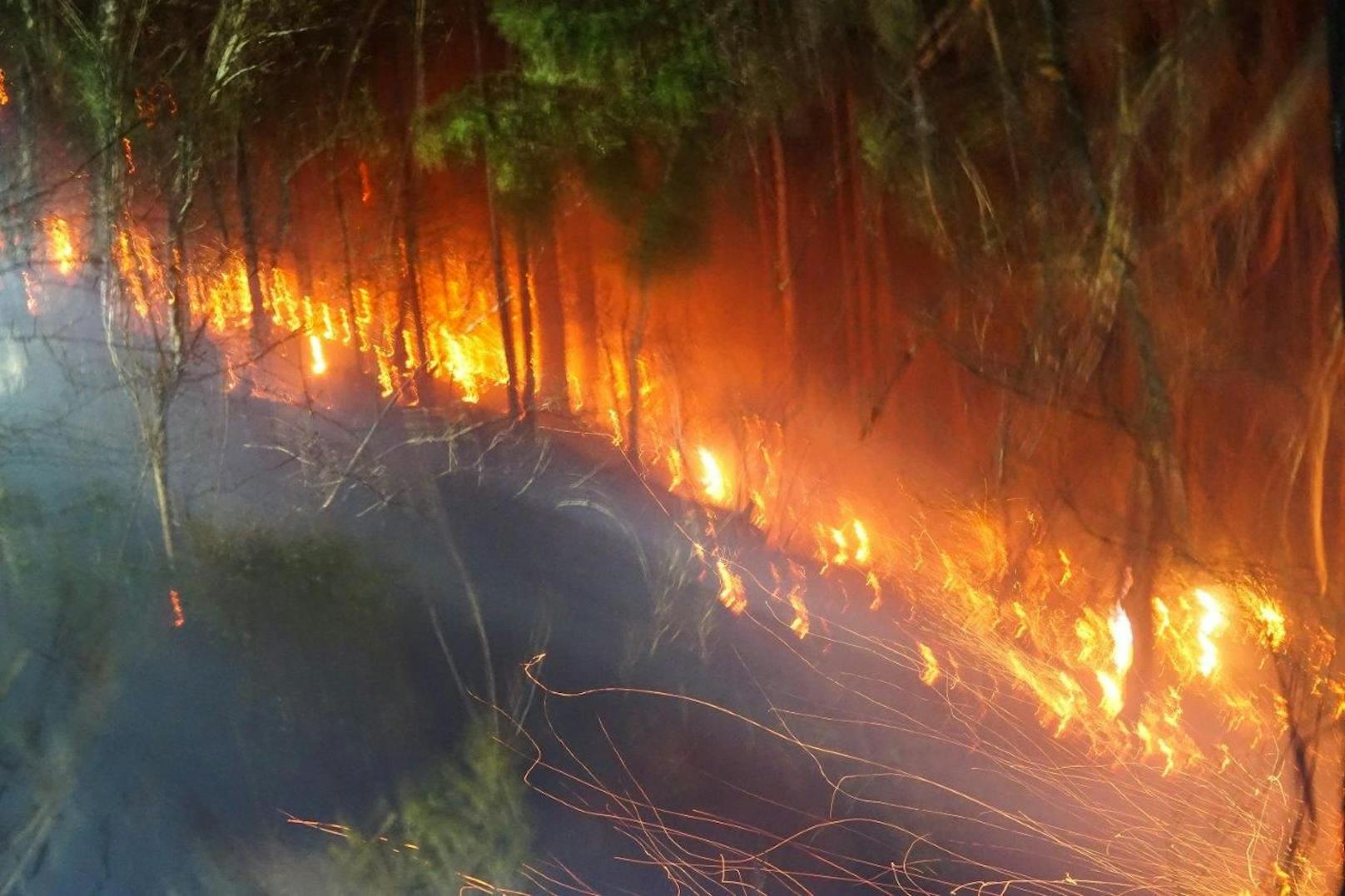 Großeinsatz in NÖ! Feuerwehr kämpft gegen Waldbrand