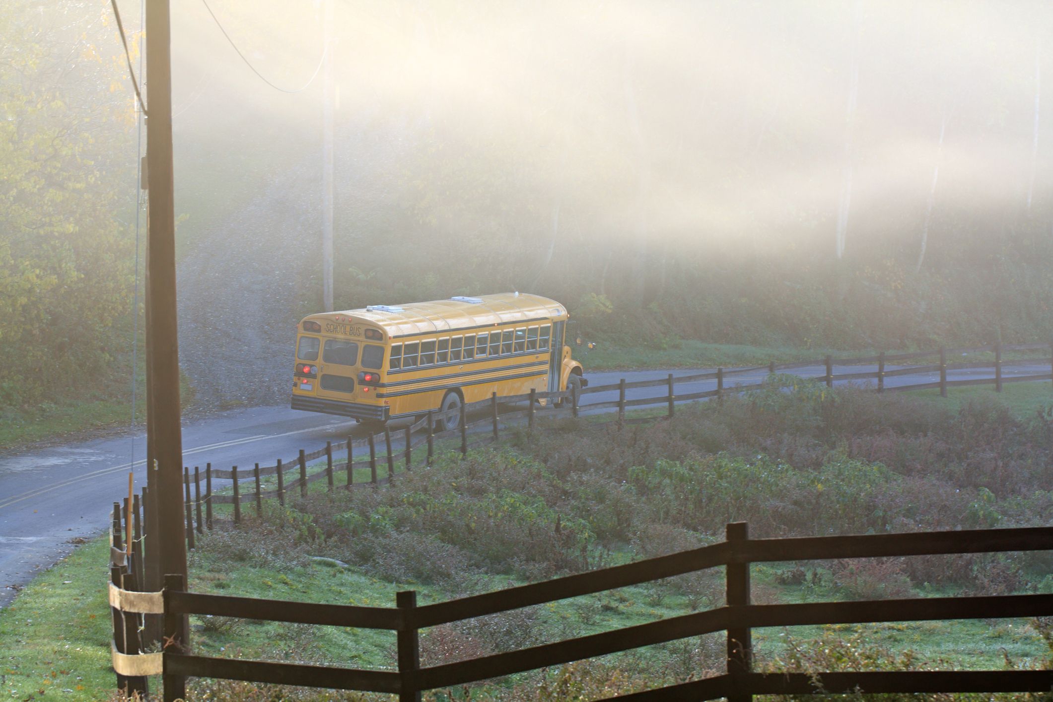 Im Inneren des Busses hatte er ein totes Reh.