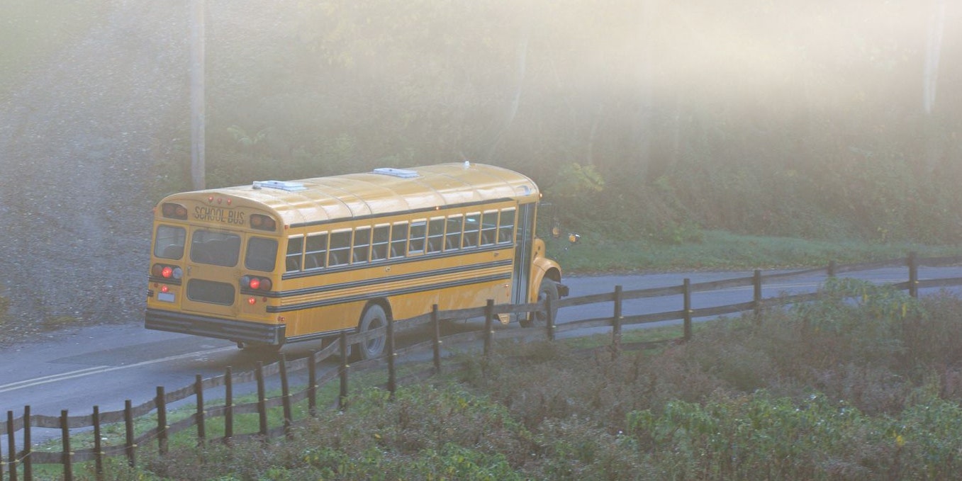 Im Inneren des Busses hatte er ein totes Reh.