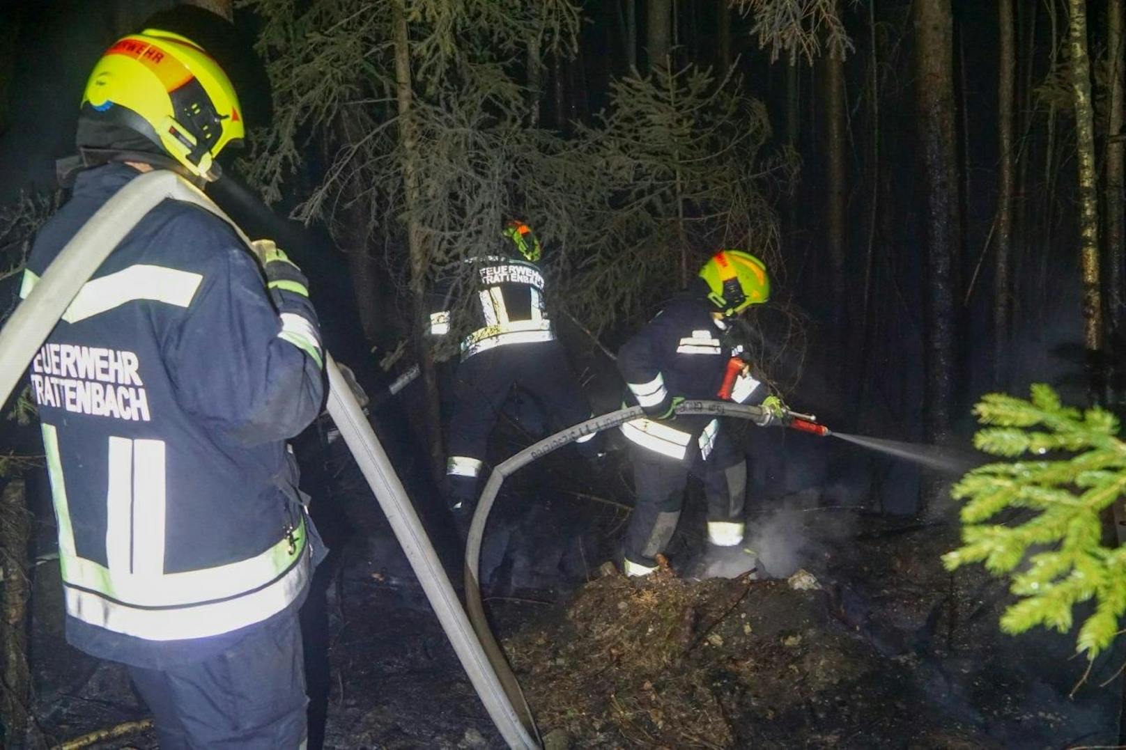 Bis in die frühen Morgenstunden musste die Feuerwehr den Brand löschen.