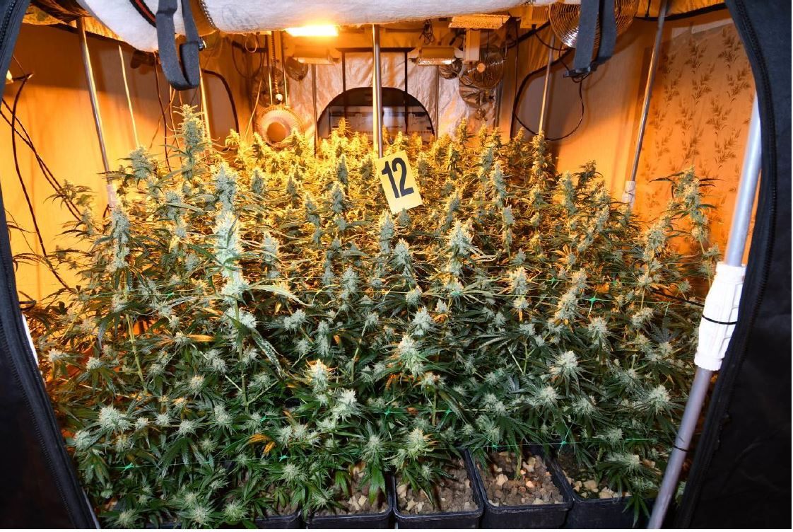 Die Polizei konnte eine serbische Drogenbande ausheben.