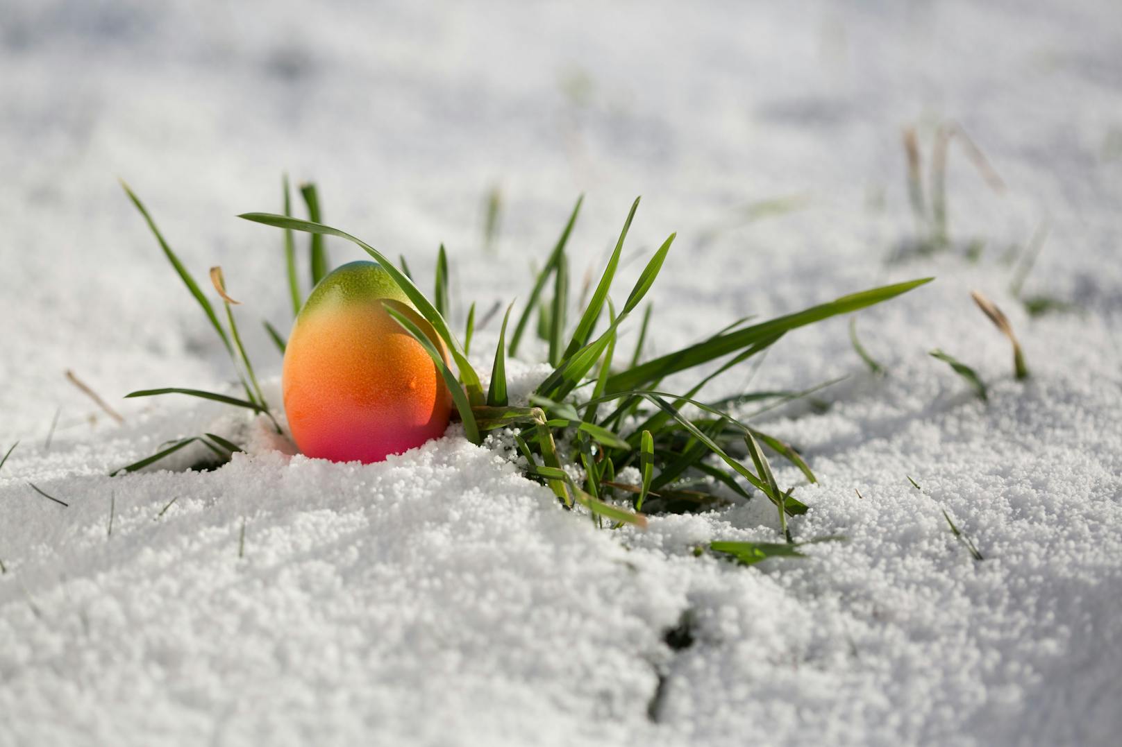 In einigen Teilen Österreichs ist mit einem verschneiten Osterfest zu rechnen. 