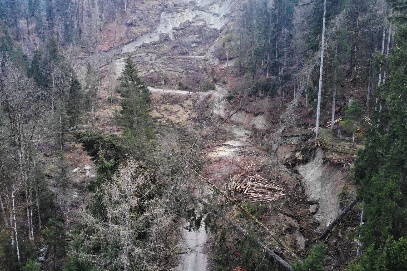Hangrutschung in St. Gilgen beim Steingrabenbach, Mure,  Schlamm, Wald, Erdrutsch Oberen Abschnitt der Schadensfläche mit dem völlig zerstörten und verschobenen Almerschließungsweg, Hangrutschung in St. Gilgen beim Steingrabenbach, Mure,  Schlamm, Wald, Erdrutsch Oberen Abschnitt der Schadensfläche mit dem völlig zerstörten und verschobenen Almerschließungsweg