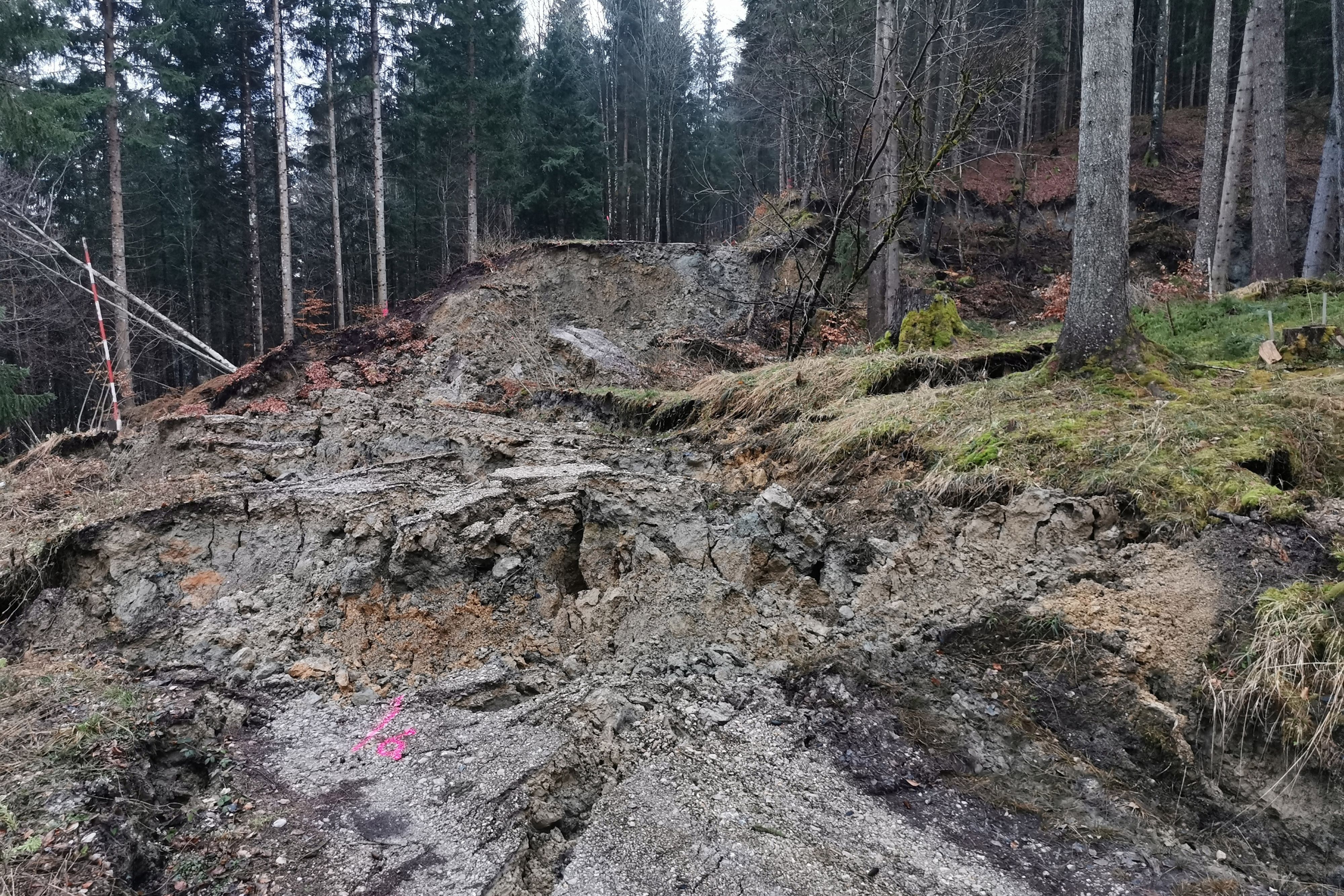 Hangrutschung in St. Gilgen beim Steingrabenbach, Mure,  Schlamm, Wald, Erdrutsch Mountainbikestrecke „Hofwandrunde“, Hangrutschung in St. Gilgen beim Steingrabenbach, Mure,  Schlamm, Wald, Erdrutsch Mountainbikestrecke „Hofwandrunde“