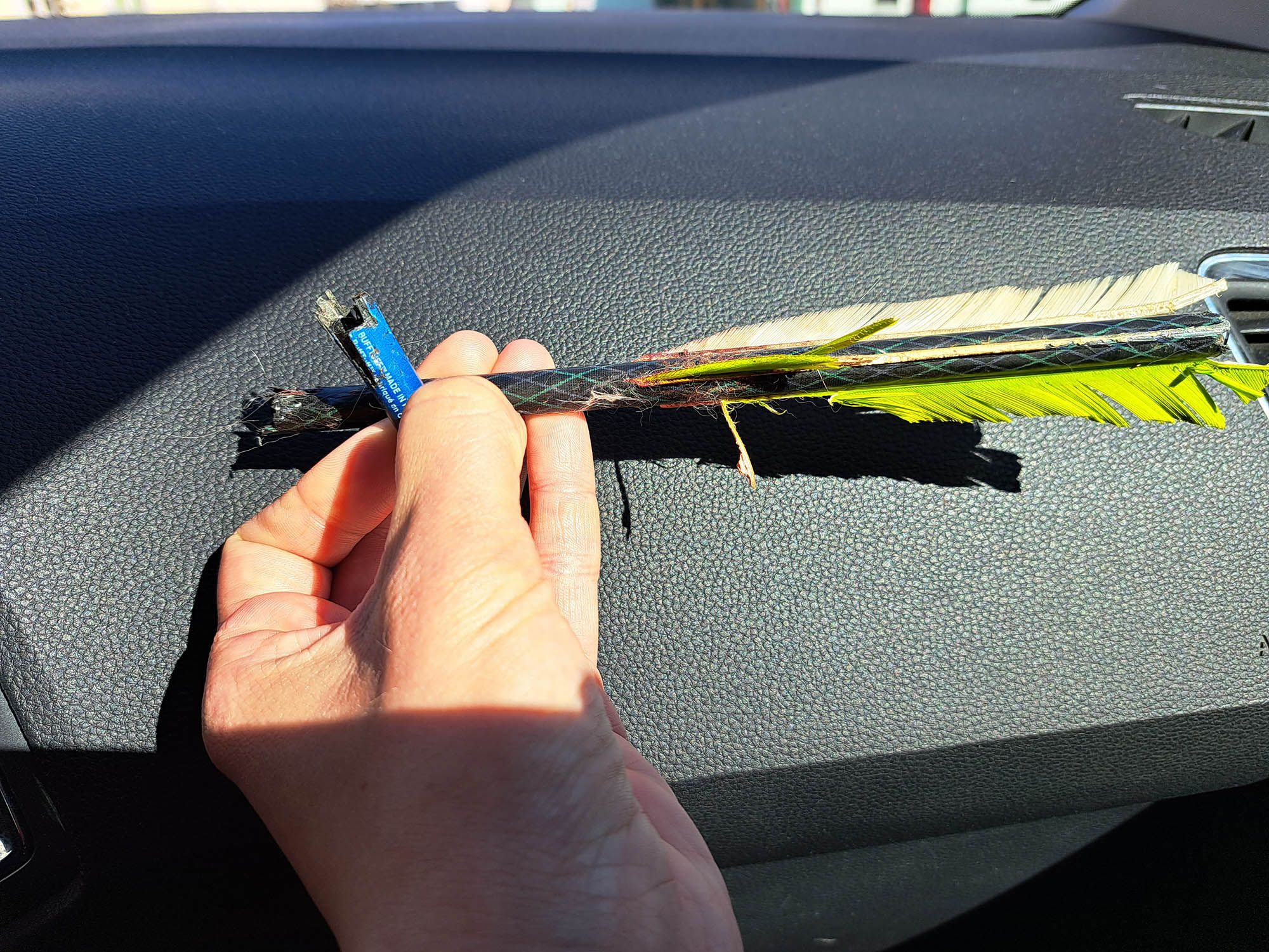 Ein Teil des Pfeils blieb im Körper des Tieres stecken.