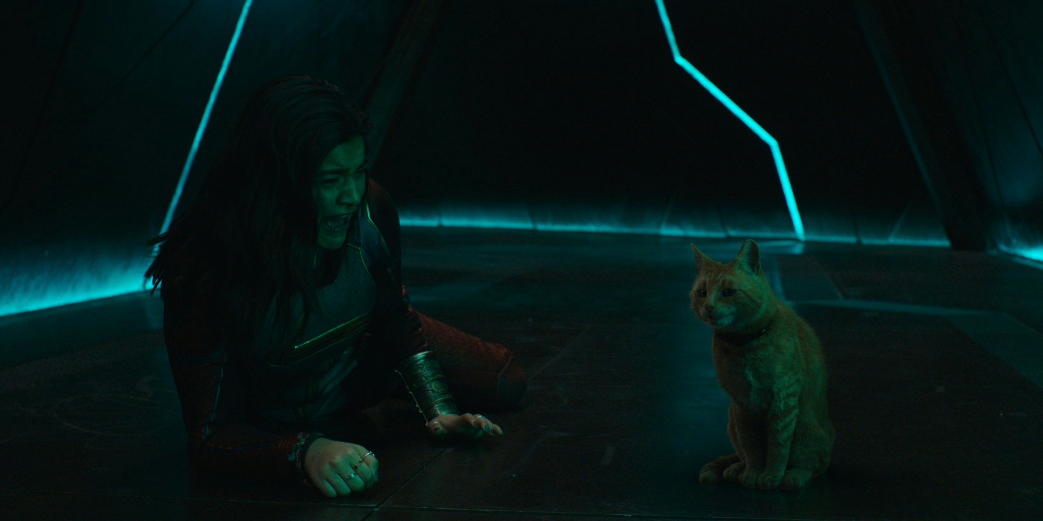 Kamala hält den Alien Goose zunächst noch für eine harmlose Hauskatze …