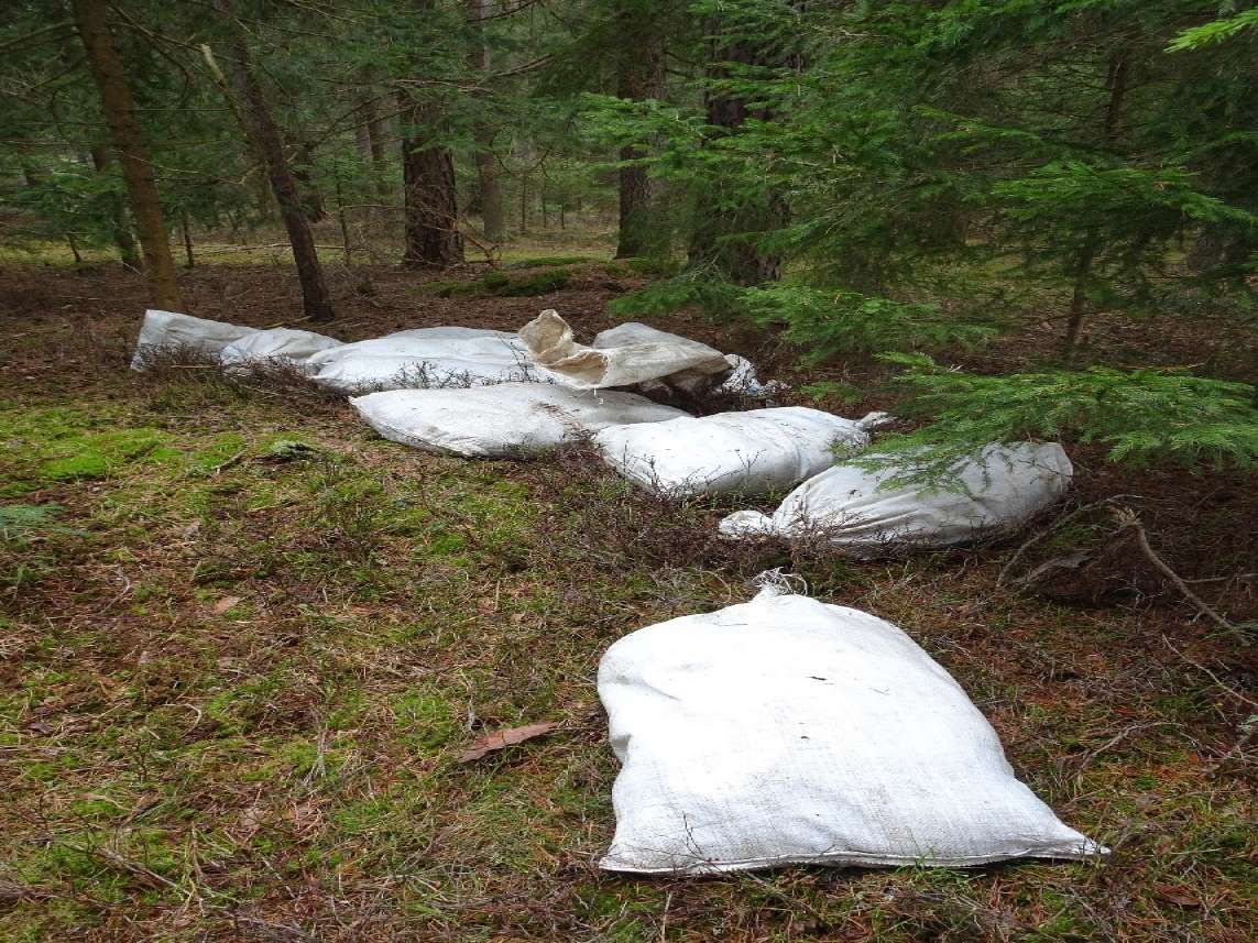 Rund 150 Hühnerkadaver waren in neun weiße Jutesäcke verpackt.