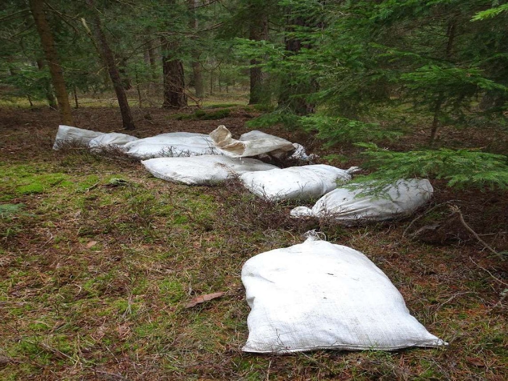 Rund 150 Hühnerkadaver waren in neun weiße Jutesäcke verpackt.
