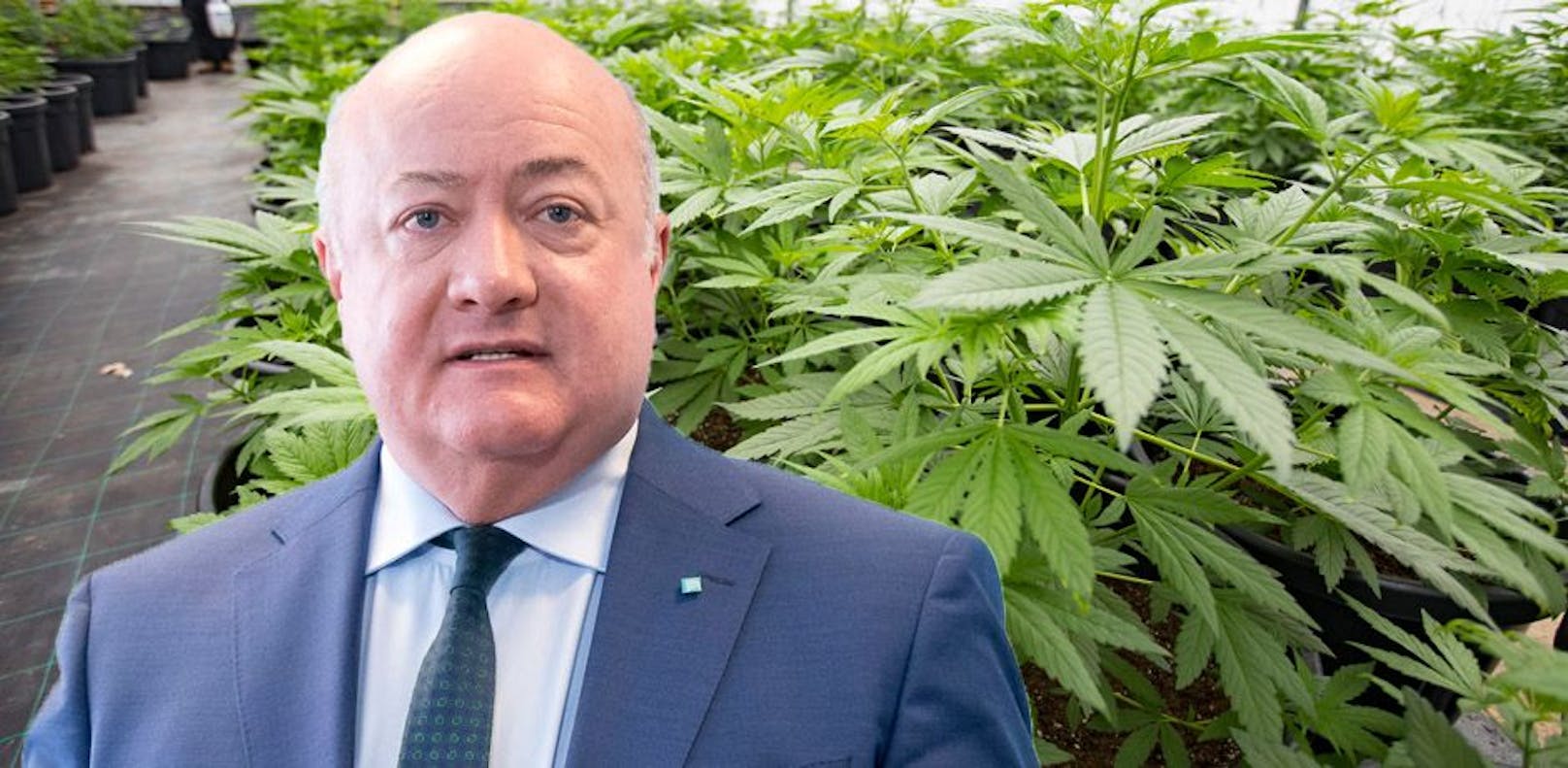 ÖVP-Generalsekretär Christian Stocker lehnt die Legalisierung von Cannabis in Österreich entschieden ab.