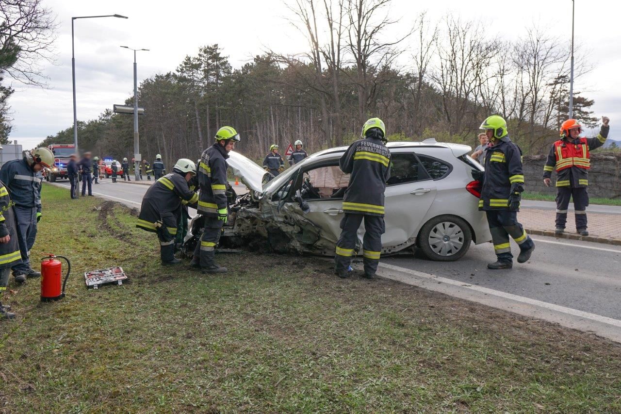 Der Lenker wurde schwer verletzt.
