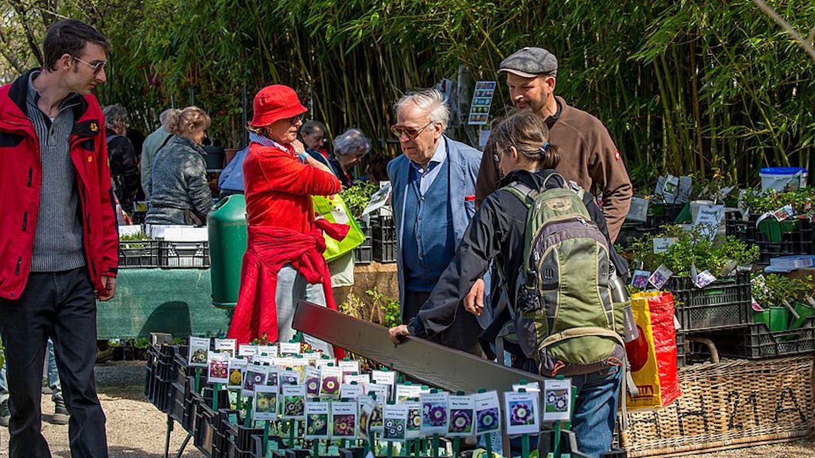 Im Botanischen Garten werden am kommenden Wochenende die Samen von Raritäten und seltenen Pflanzen verkauft. Bewundernde Blicke in den Gärten sind nachher garantiert.