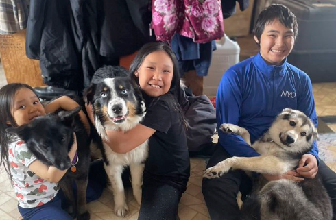 Der Australian Sheperd Nanuq ist zurück bei seiner Familie. 