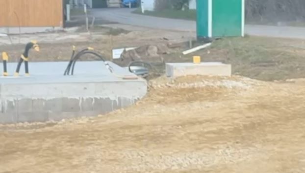 Der Wolf spazierte gemütlich bei den Arbeitern vorbei.