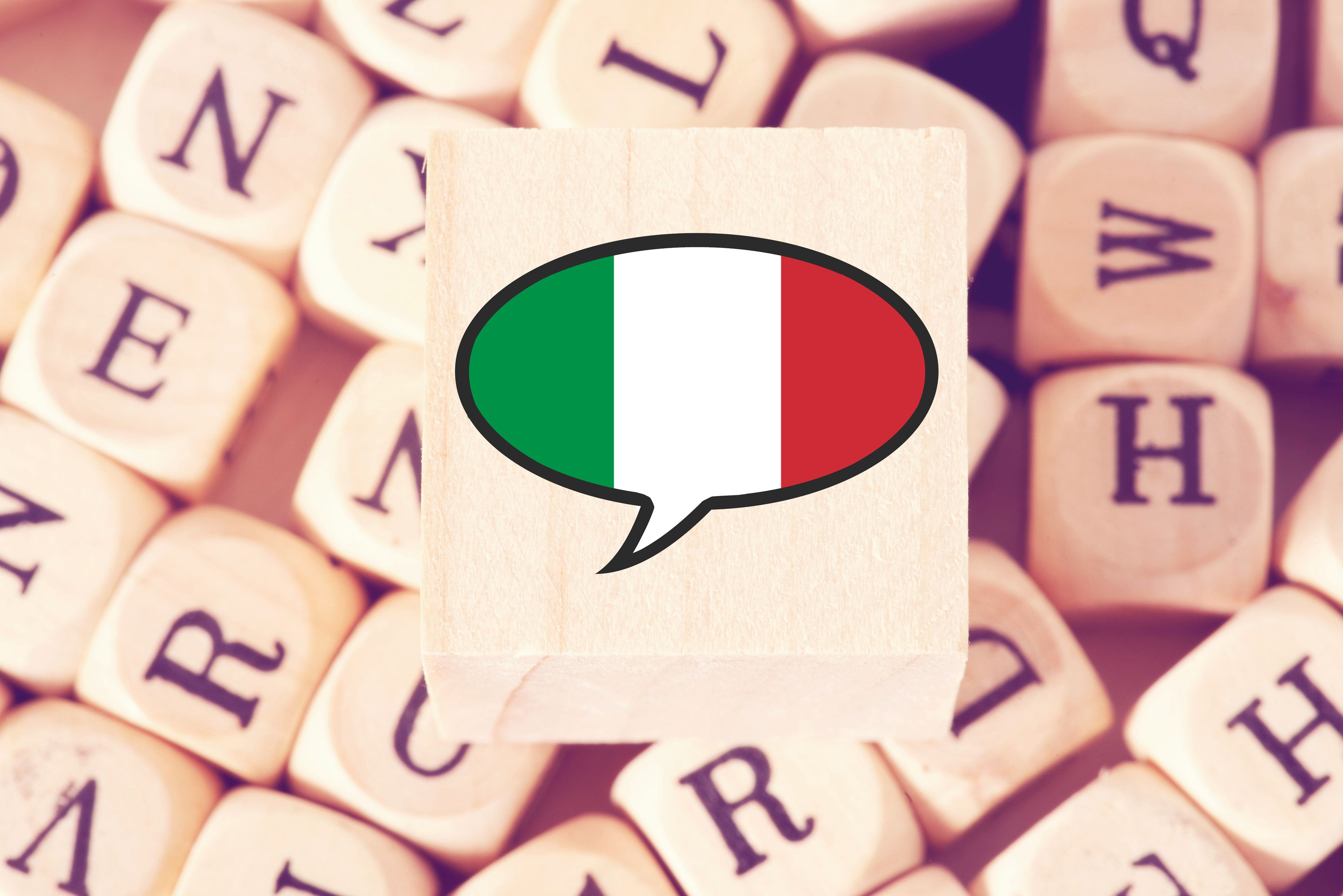 Ein Gesetzesentwurf, welcher die italienische Sprache vor ausländischen Einflüssen schützen soll, sorgt für Diskussionen.