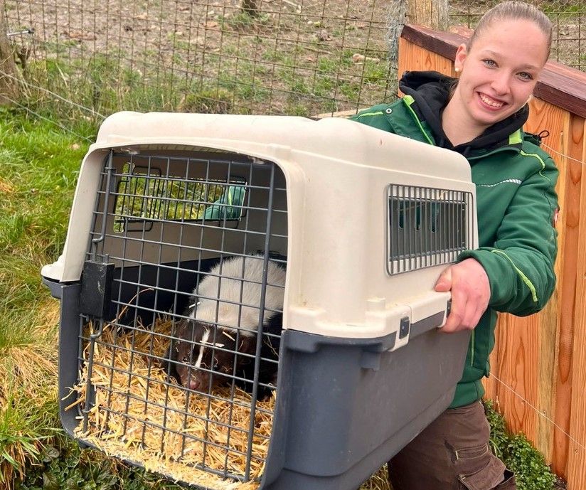 Saskia Plachy vom Naturpark Buchenberg mit ihrem neuen Schützling.
