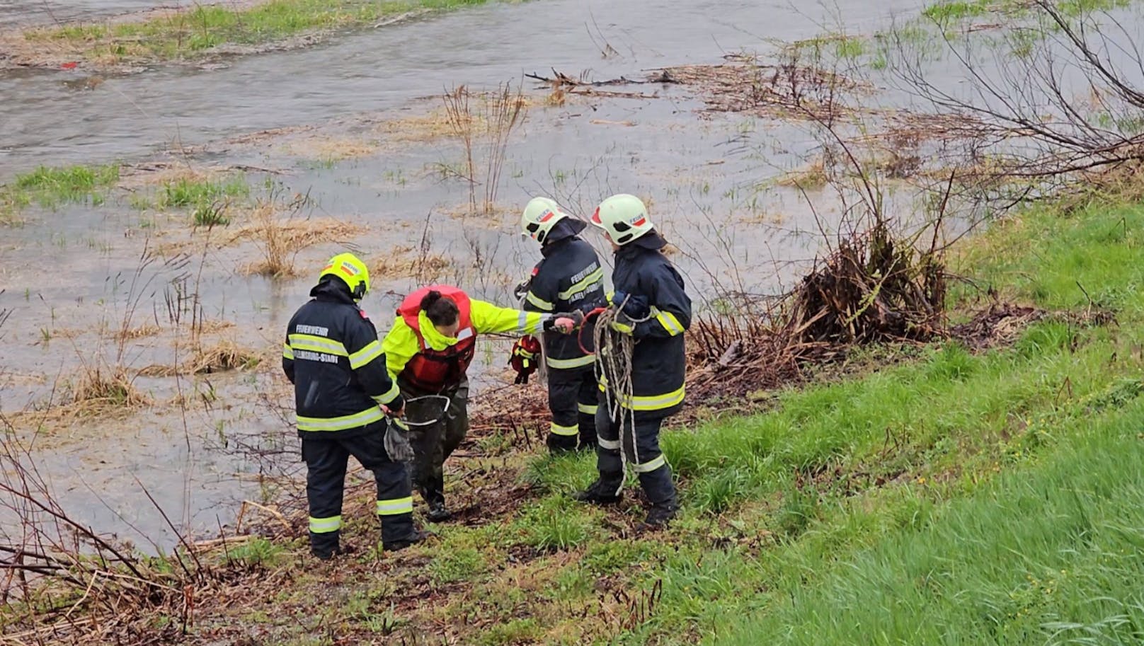 Tierrettung und Feuerwehr holten die Eier des Schwanenpaares aus der Traisen.