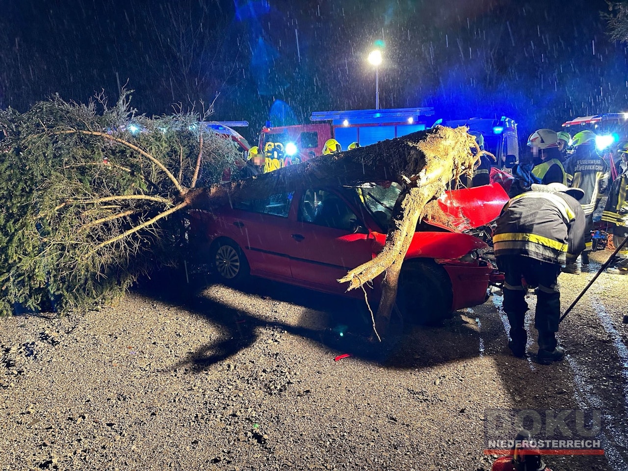 Heute.at - Baum donnert nach heftigem Frontal-Crash auf Pkw