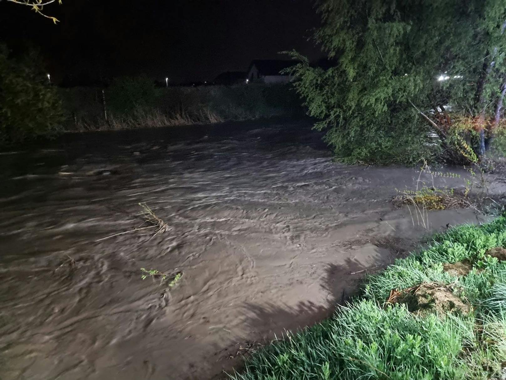 Auch der Schwechatfluss im Bezirk Baden droht über die Ufer zu treten.