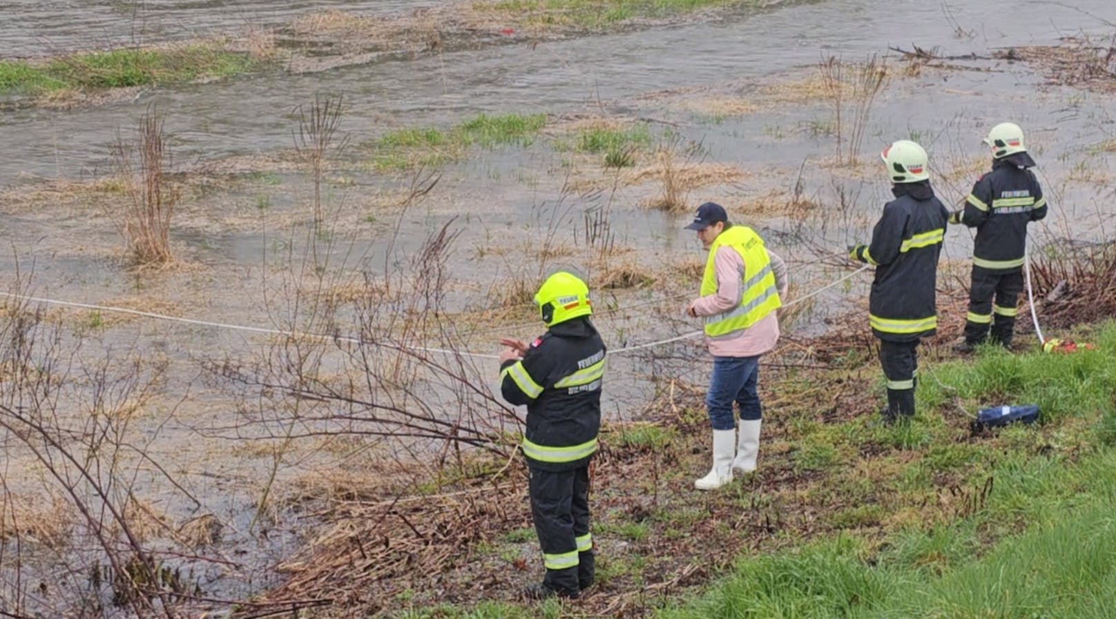 Das Nest des Vogelpaares drohte von den Wassermengen weggespült zu werden.