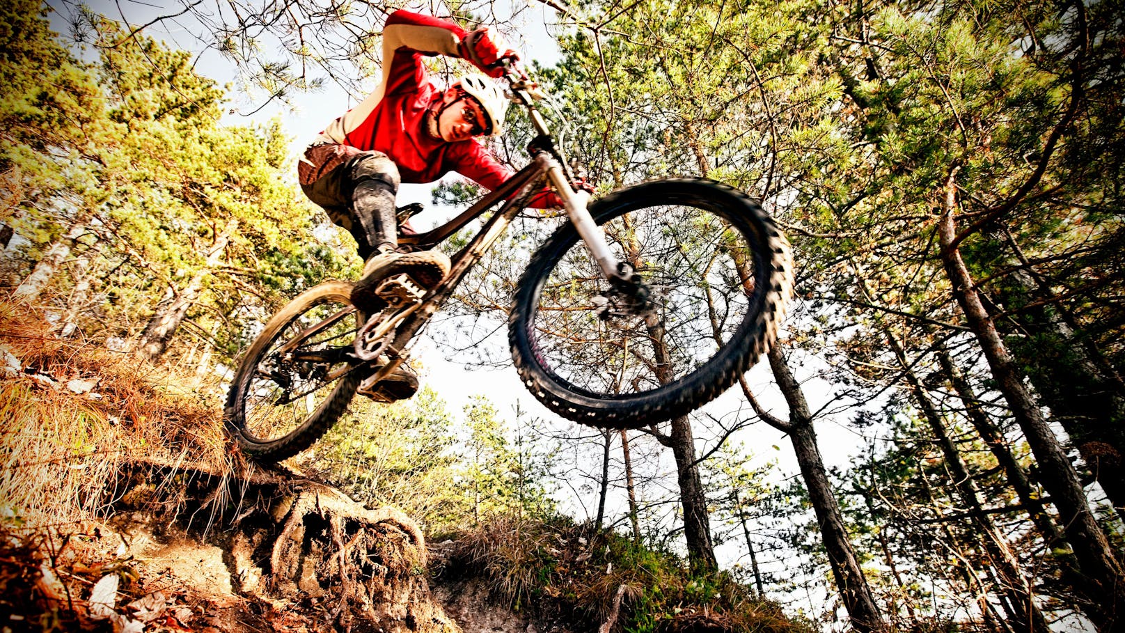 Mountainbiker schlägt bei Sturz mit Kopf auf Boden auf