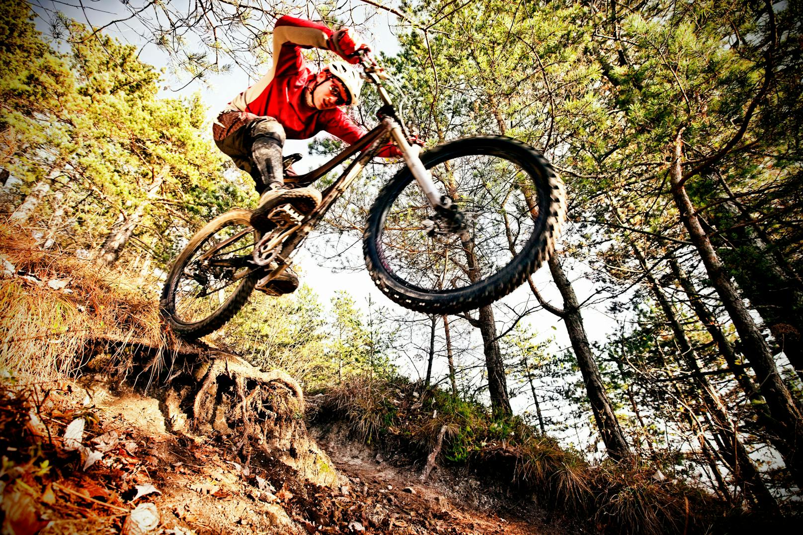 Adrenalinkick! Neuer Uphill Trail begeistert Biker