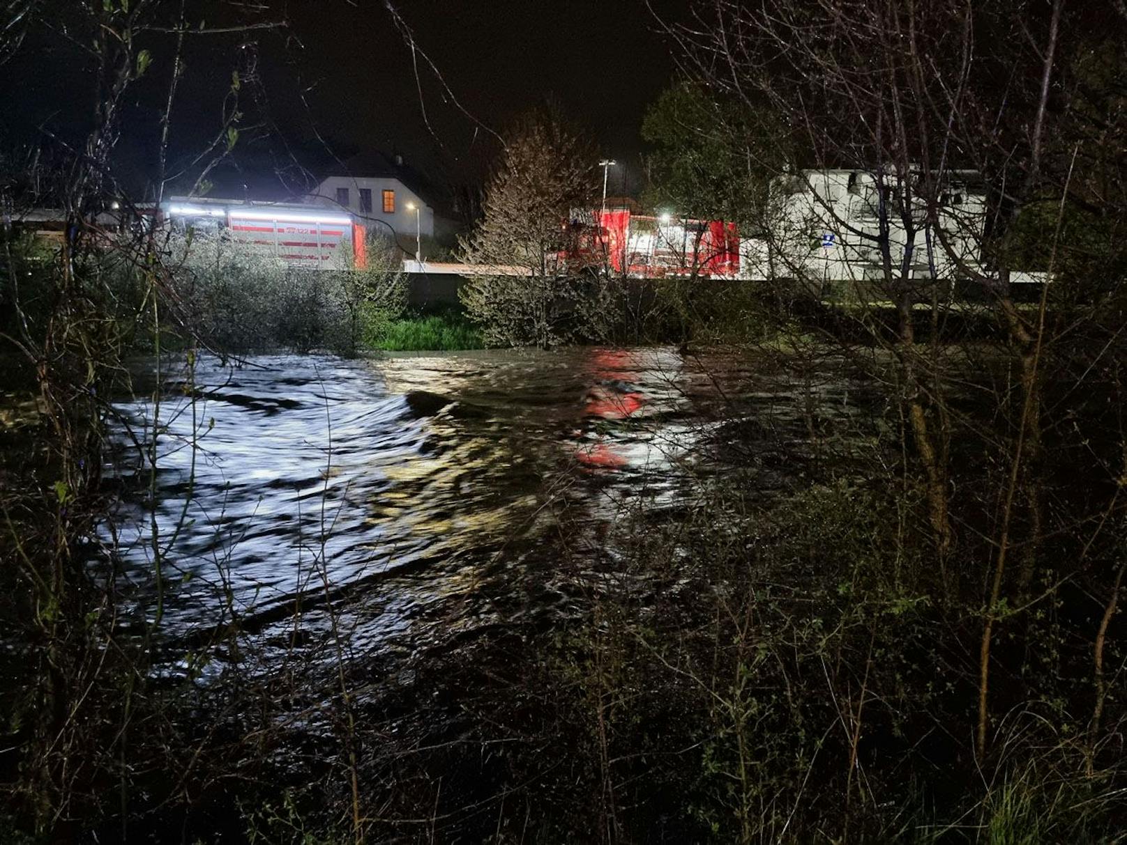 "Nachdem auch der Pegelstand in Klausen-Leopoldsdorf den Wert von 2,70m überschritten hatte und weitere Biberdämme entlang der Schwechat den Wassermassen nicht mehr standhielten war das mitgerissene Schwemmholz ein weiteres Gefahrenpotential", so Schneider.