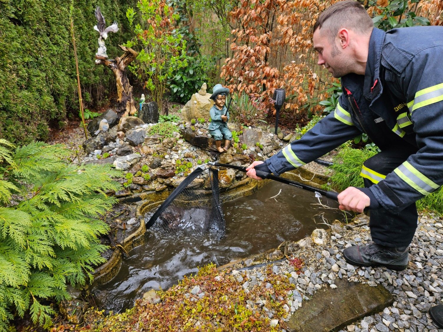 Die Feuerwehr holte das Nagetier aus einem Biotop.