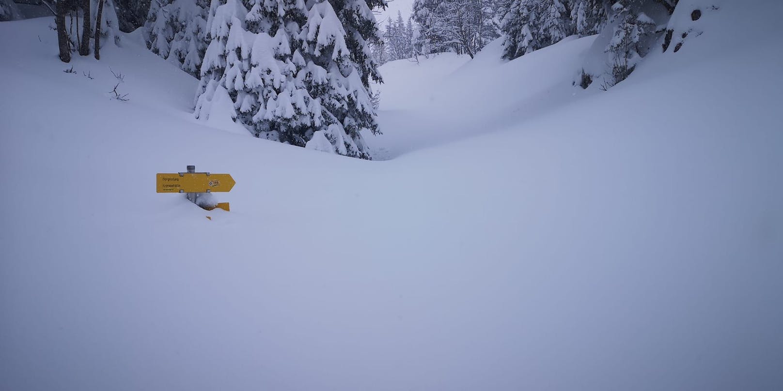 In den letzten Tagen fiel rund ein Meter Neuschnee am Schneeberg.