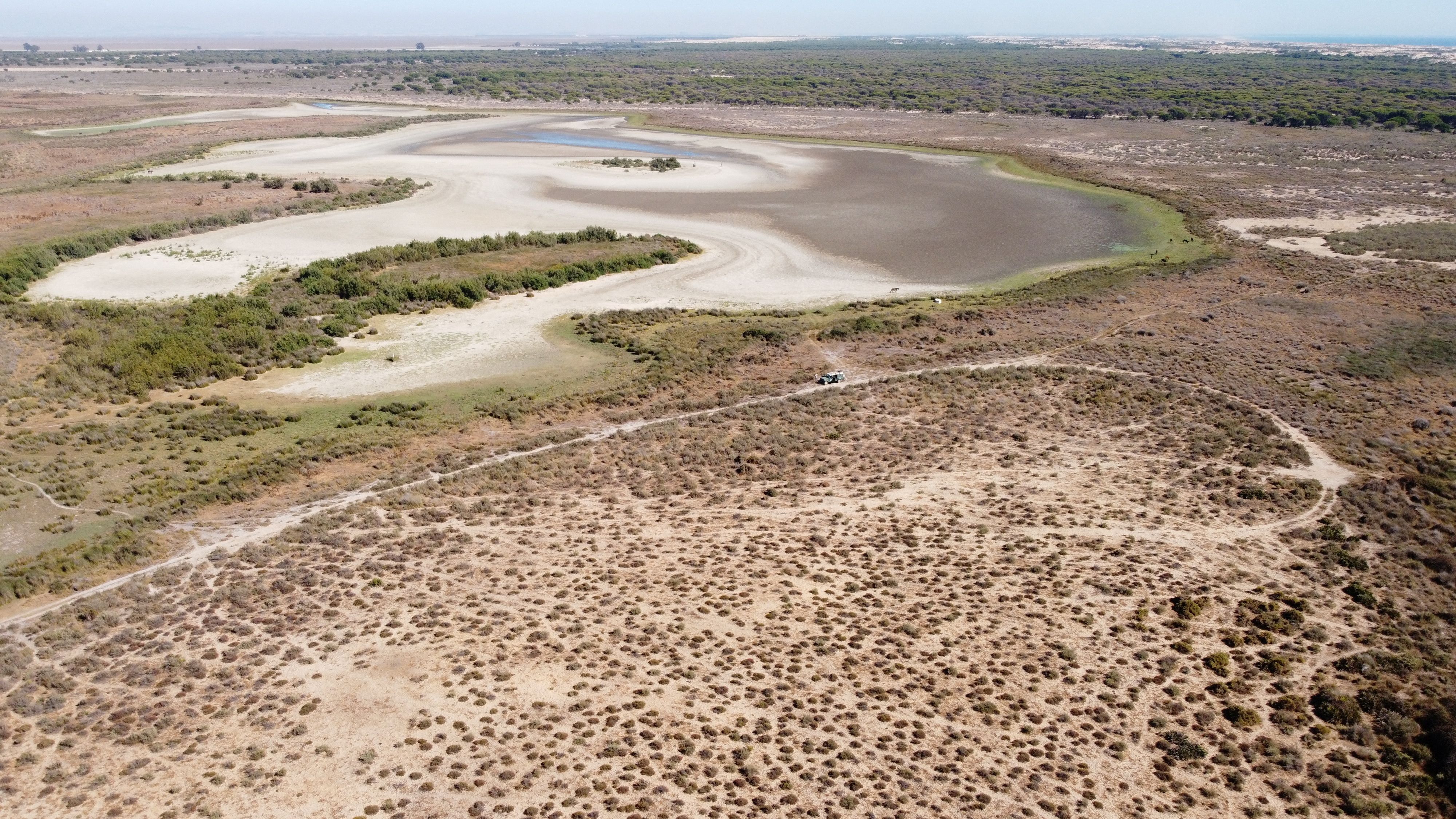 Die Lagune von Santa Olalla im Nationalpark Donana in Südspanien ist ausgetrocknet.