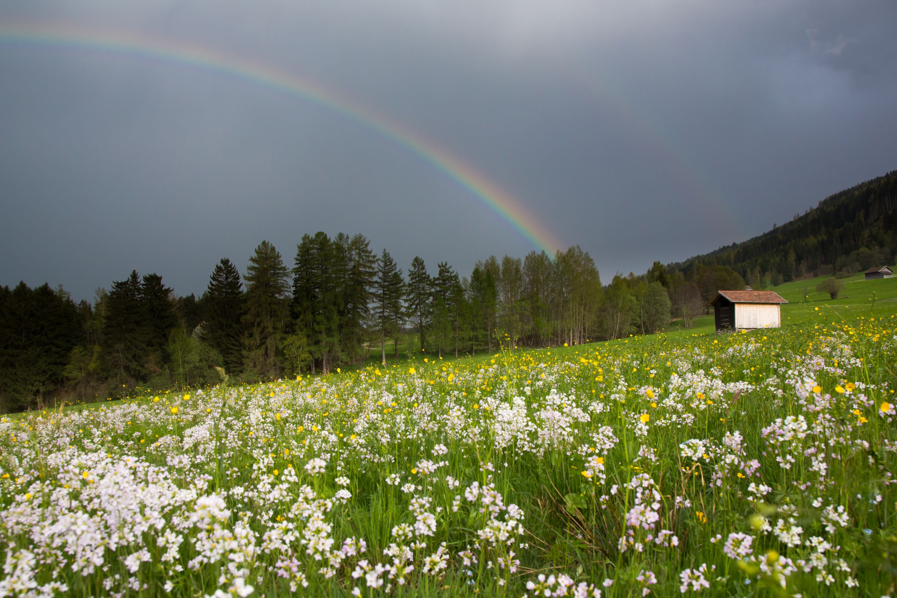 Sonne und Regen – der April bringt wieder einmal ein Wechselbad mit sich.