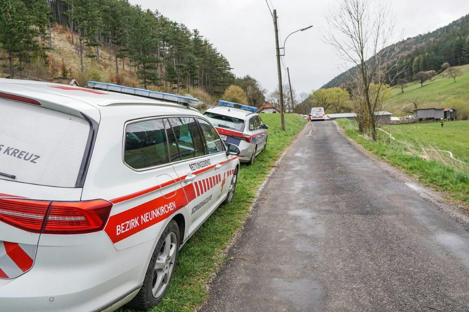 Auch die Polizei und das Rote Kreuz waren in Höflein vor Ort.