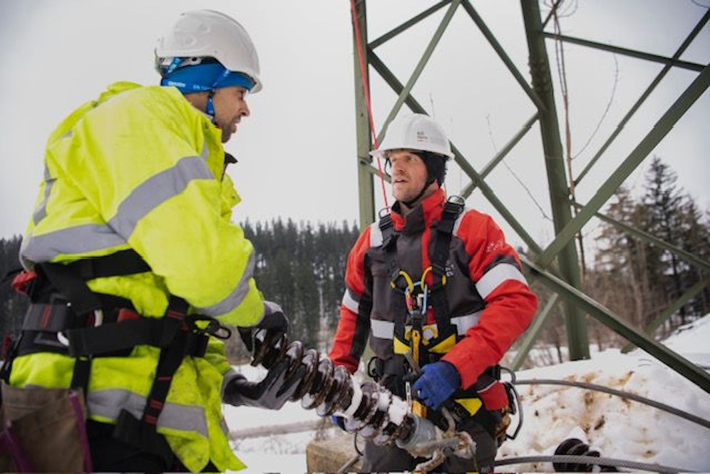 Der Wintereinbruch ließ Bäume umknicken - Schwerarbeit für die Experten von NÖ Netze