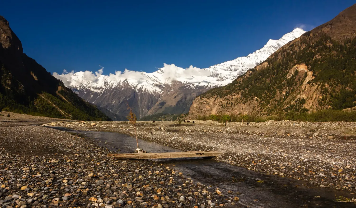 Der Annapurna ist der zehnhöchste Berg der Welt.