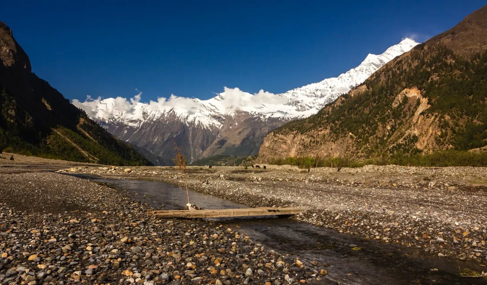Der Annapurna ist der zehnhöchste Berg der Welt.