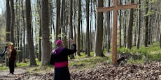 Ewige Ruhe unter Bäumen! Neuer Friedhof in St. Pölten