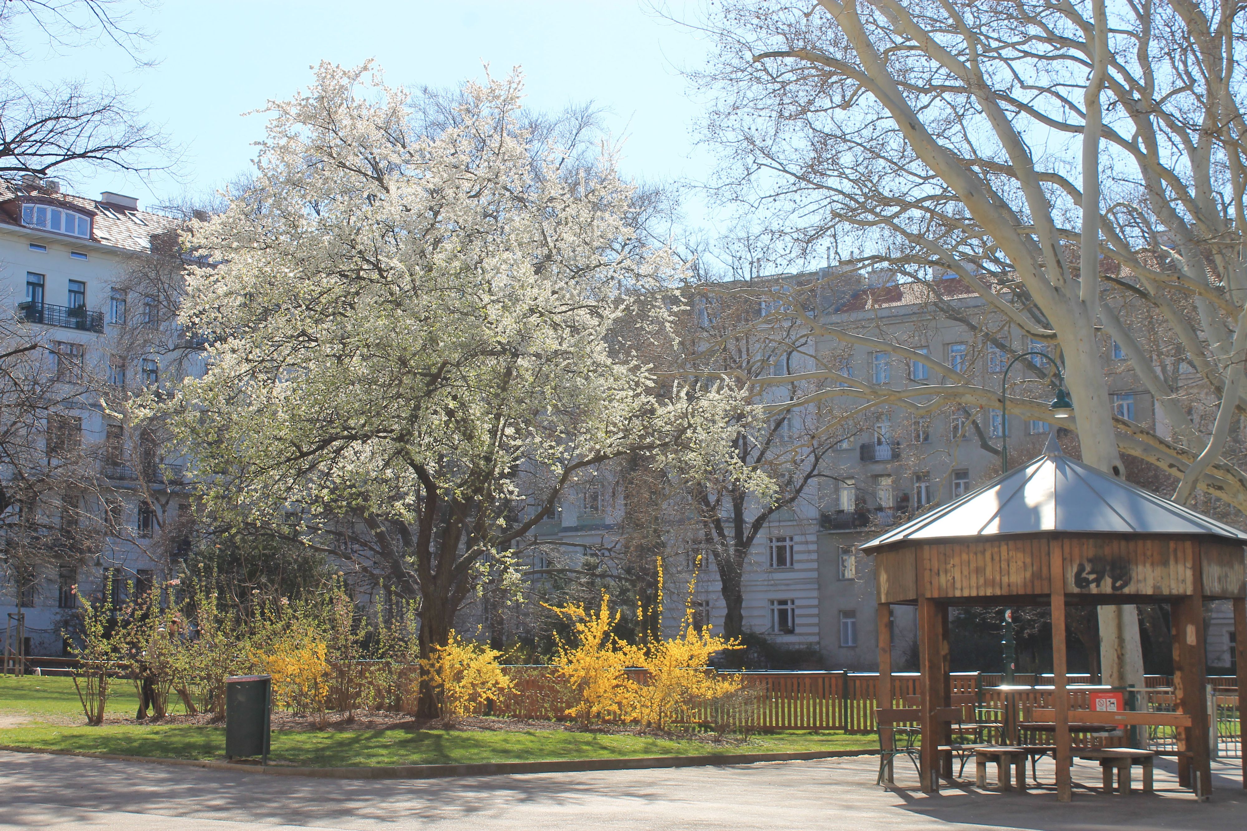 &nbsp;Im Zuge der geplanten Umgestaltungen von Parkanlagen soll künftig verstärkt auf die Bedürfnisse von Frauen und junger Mädchen eingegangen werden.&nbsp;