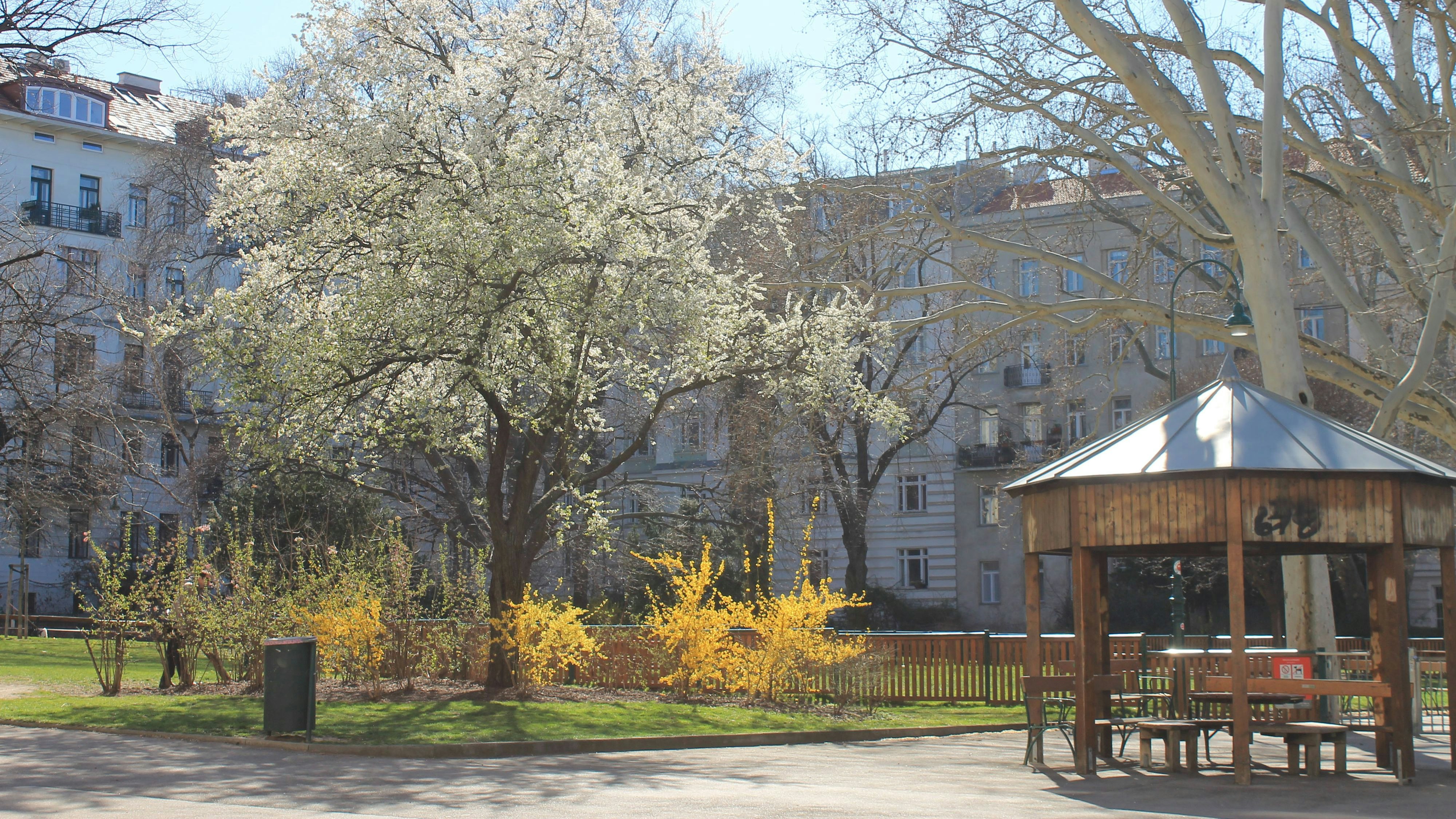 Der Vorfall passierte im Alois-Drasche-Park in Wien-Wieden.