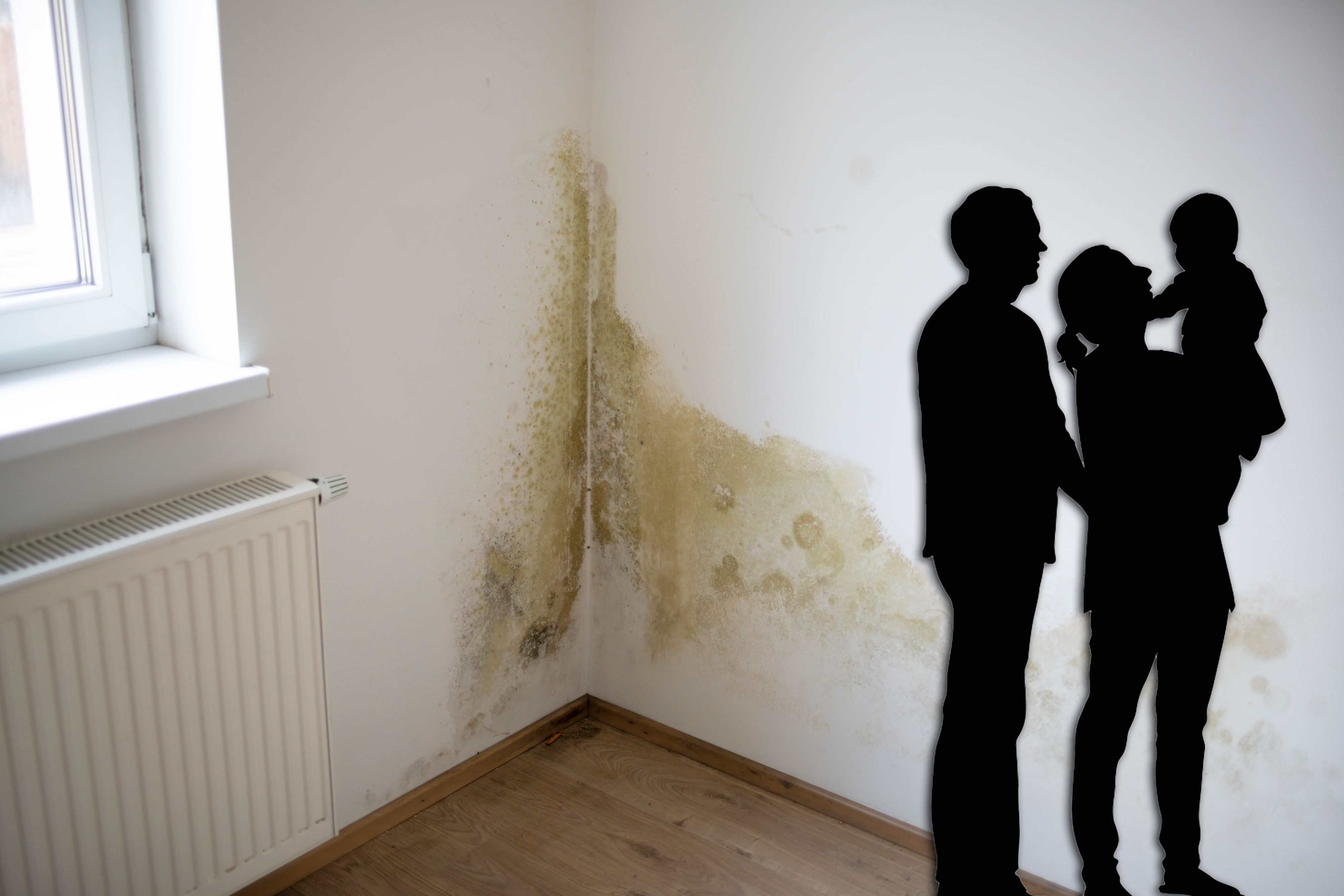 Schimmel ist vor allem in Familienwohnungen oft ein Problem.&nbsp;