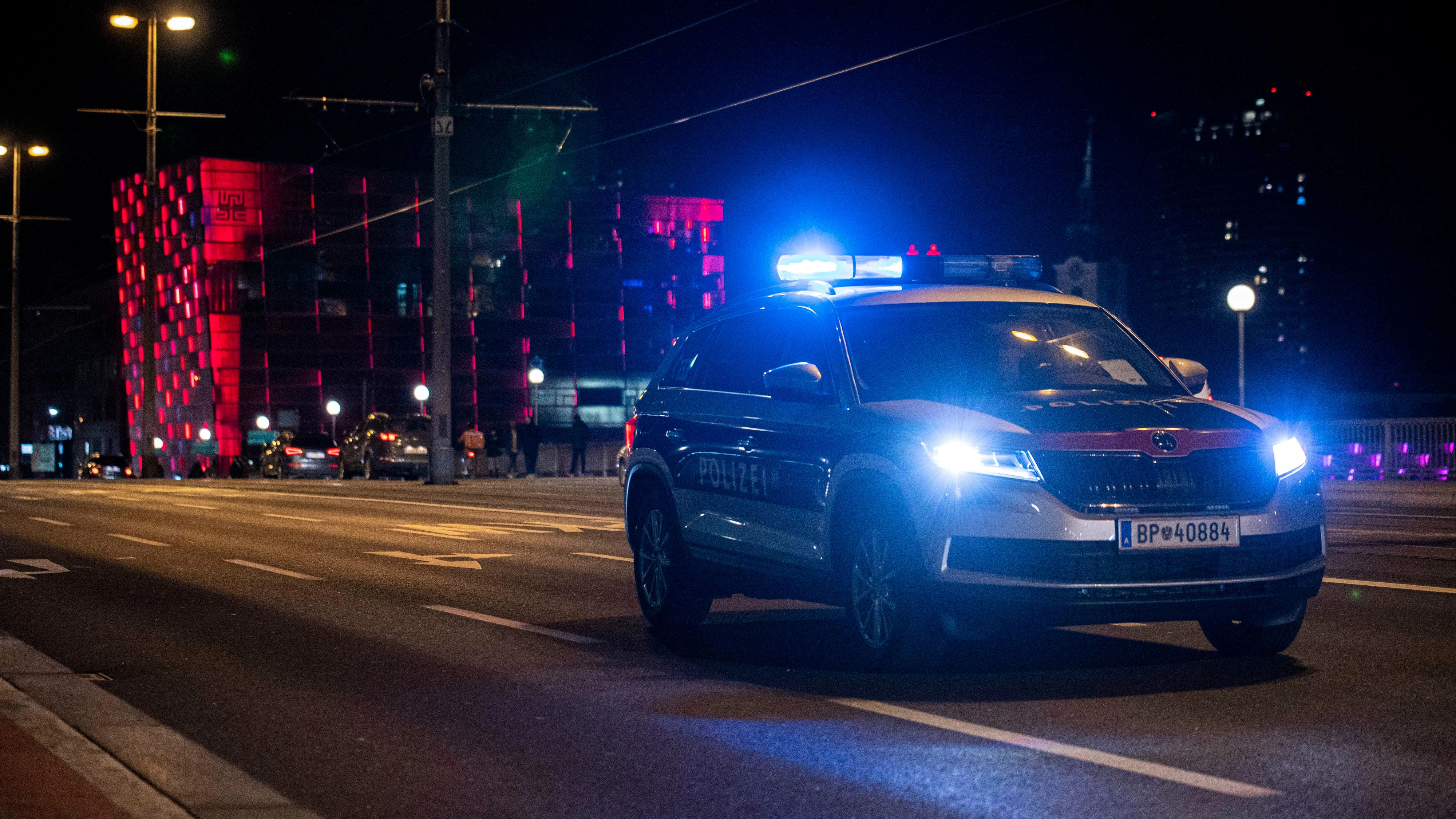 Die Polizei musste den Wiener festnehmen.
