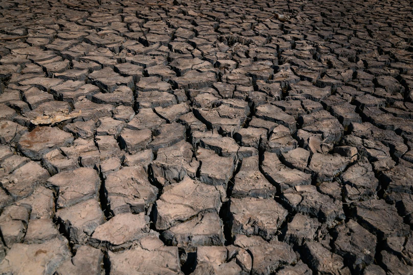 Es ist eine der schlimmsten Dürren seit Jahrzehnten auf der Iberischen Halbinsel.