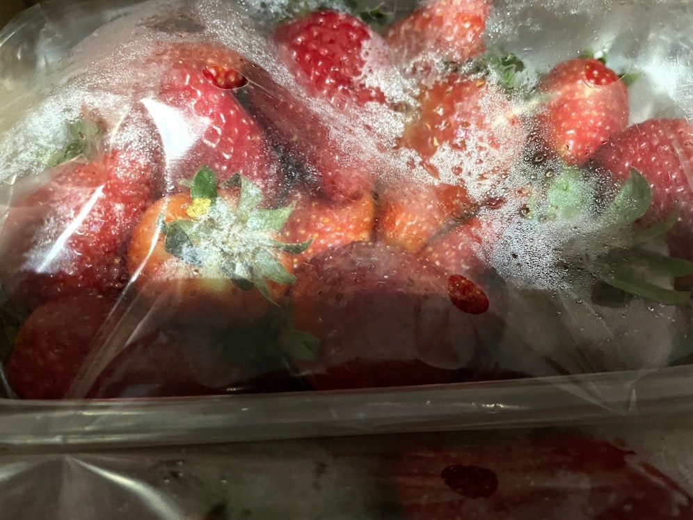 Bei der Kontrolle entdeckte das Marktamt 1.500 Kilo verdorbene Erdbeeren.