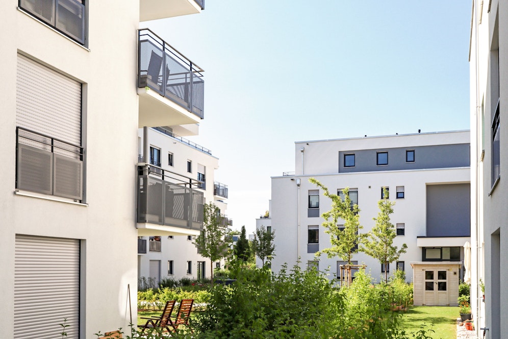 Aufregung um Begrünung von Flachdach. (Symbolfoto)