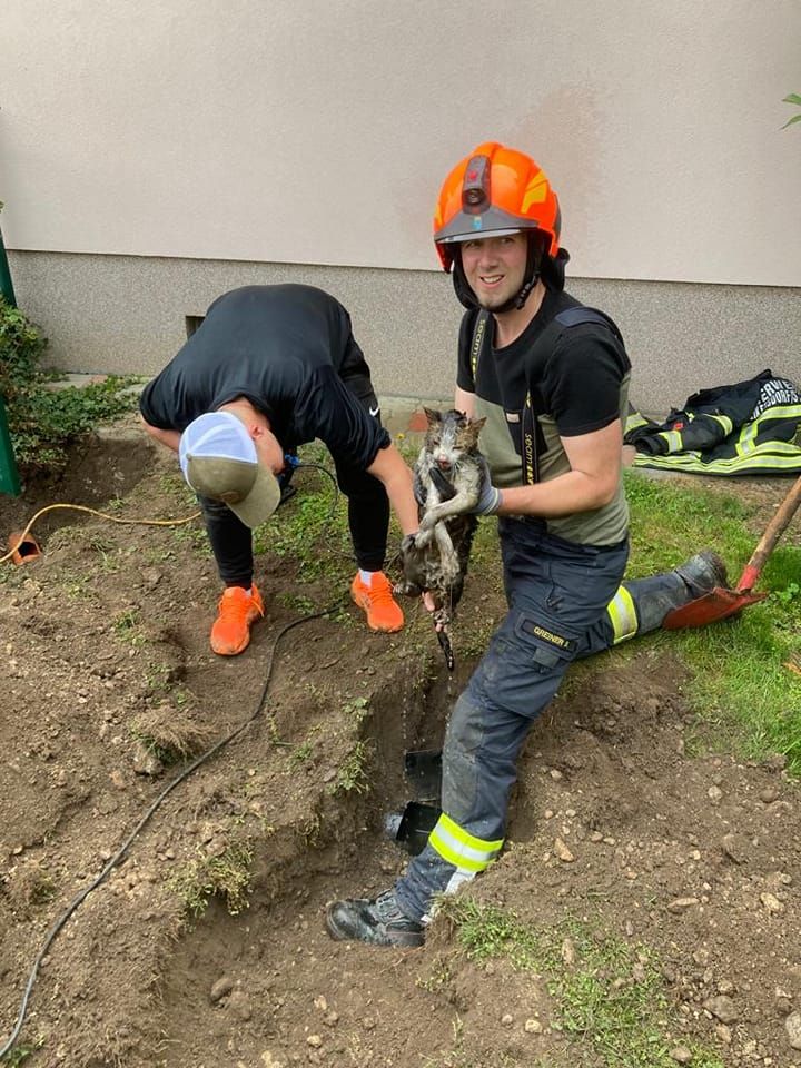 Die Feuerwehr befreite die Katze aus ihrem feuchten Gefängnis.
