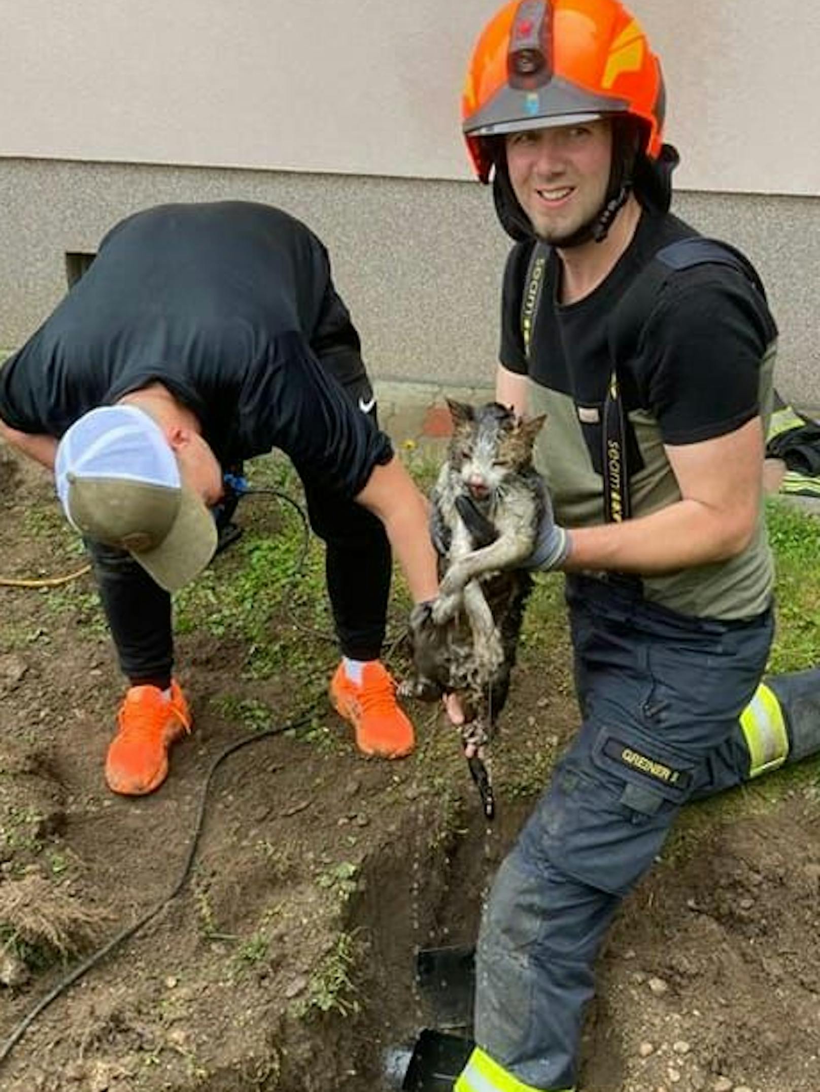 Die Feuerwehr befreite die Katze aus ihrem feuchten Gefängnis.