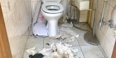 Touristen-WC auf Schloss verwüstet – Zeugen gesucht