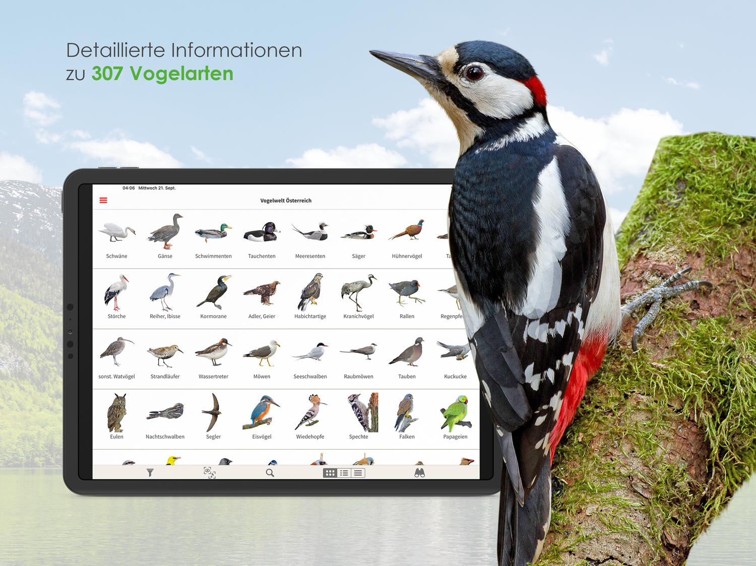Über 300 verschiedene Arten sind bereits in der Birdlife-App 