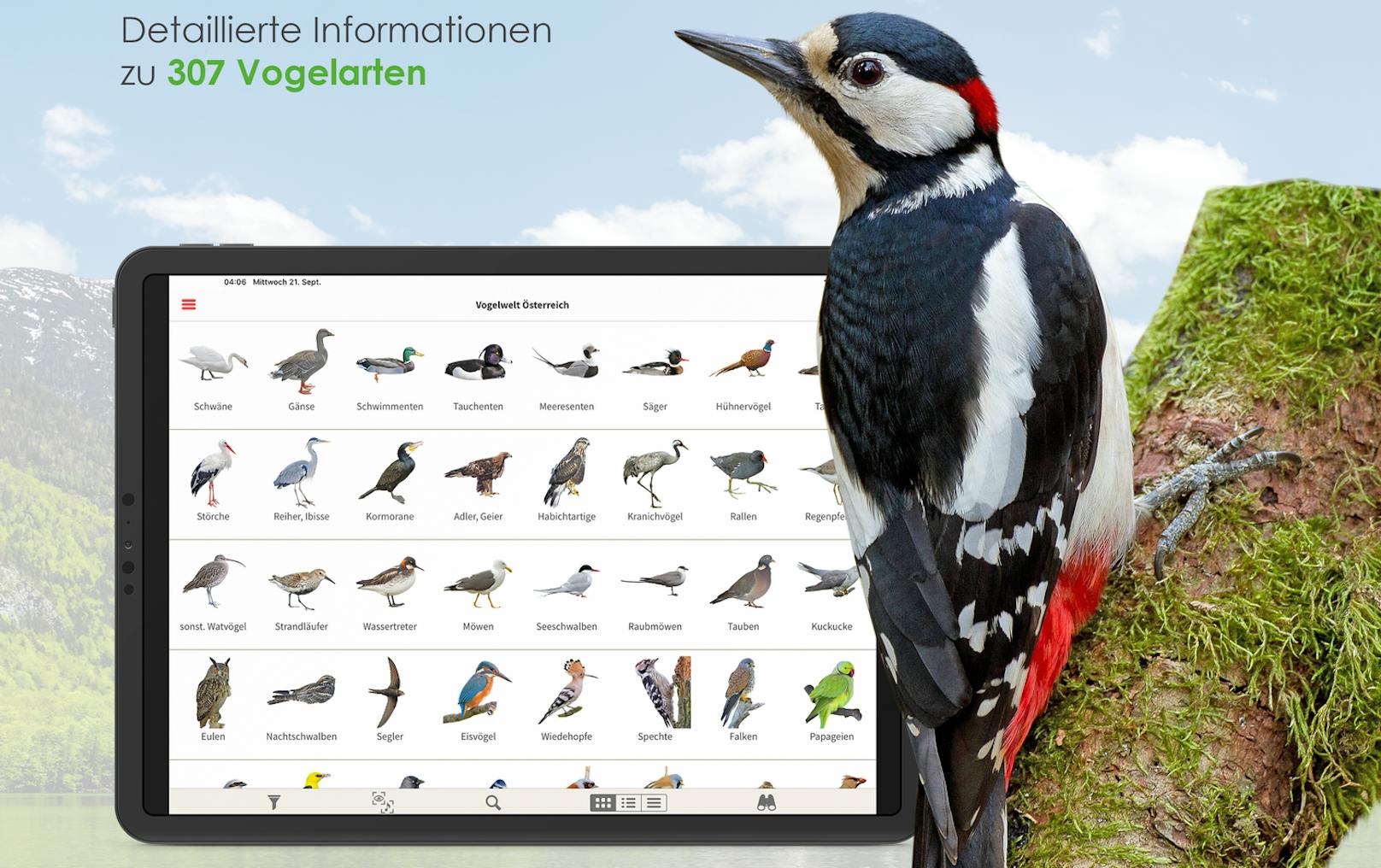 Über 300 verschiedene Arten sind bereits in der Birdlife-App "Vögel in Österreich" registriert.