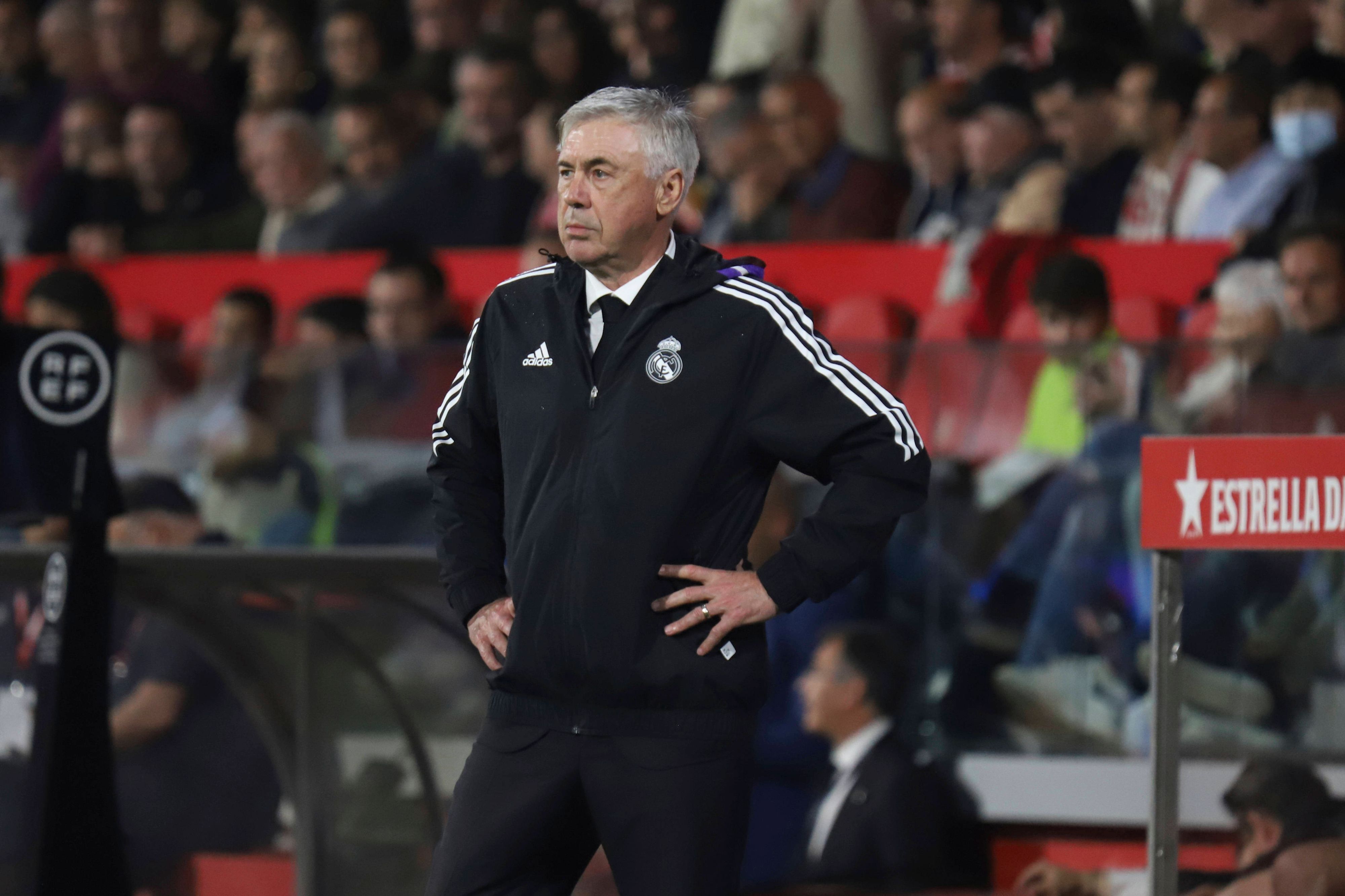 Real-Coach Carlo Ancelotti