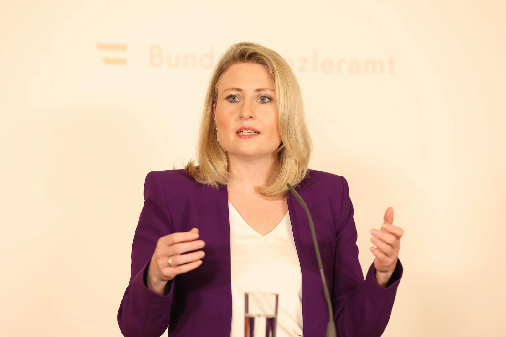 Durchbruch für ÖVP-Medienministerin Susanne Raab